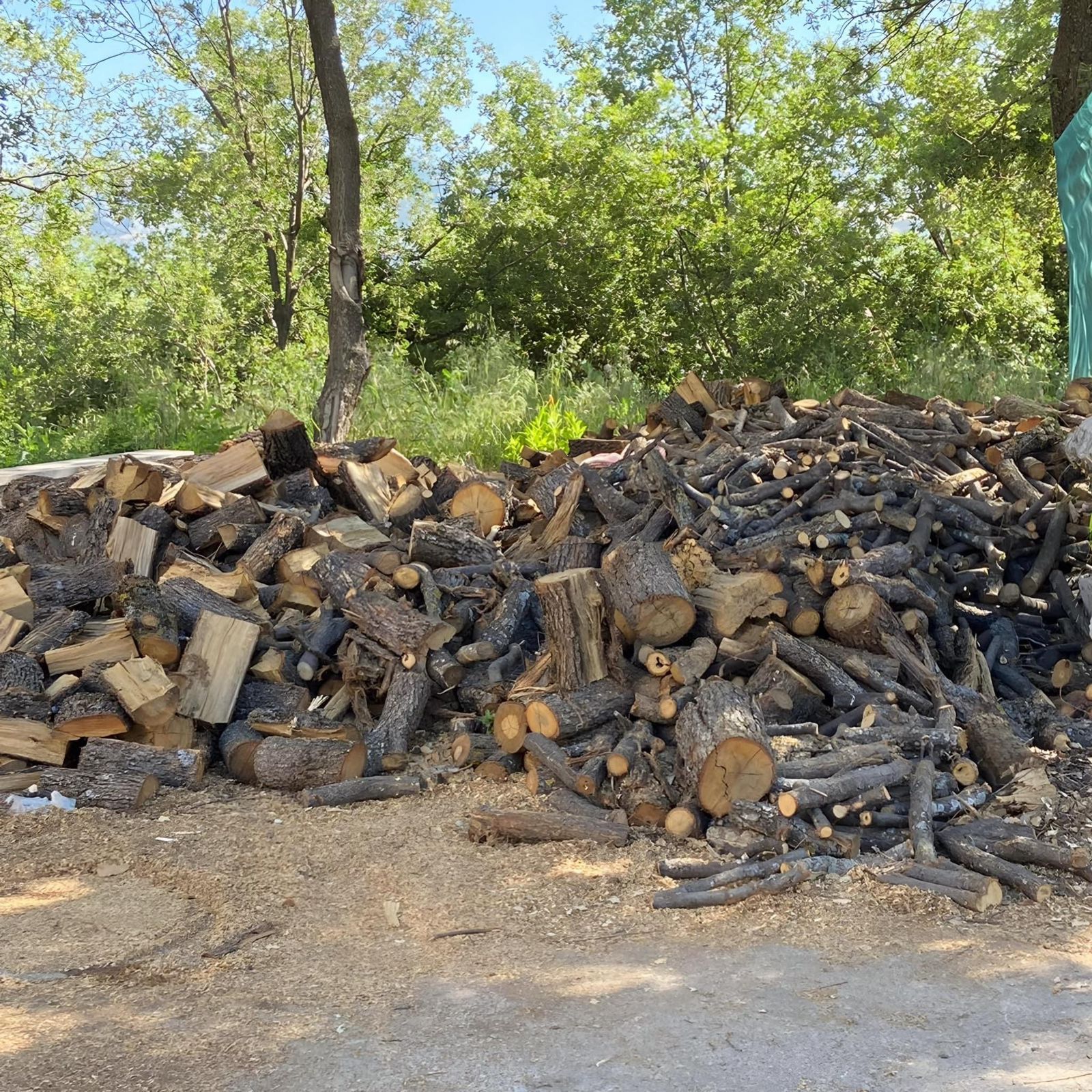 Terrreliban News 202421.25 (1)