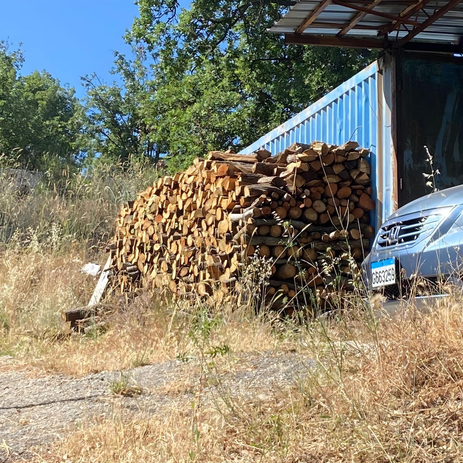 Terrreliban News 202421.26 (1)